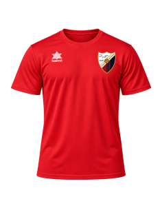 Camiseta partido