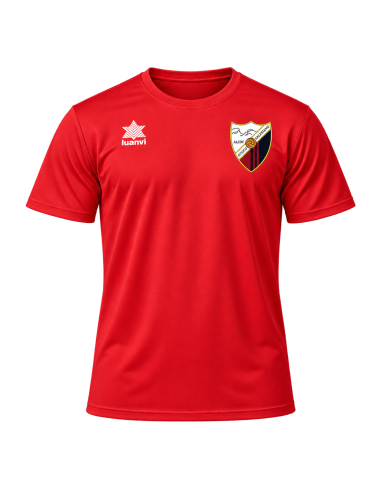 Camiseta partido